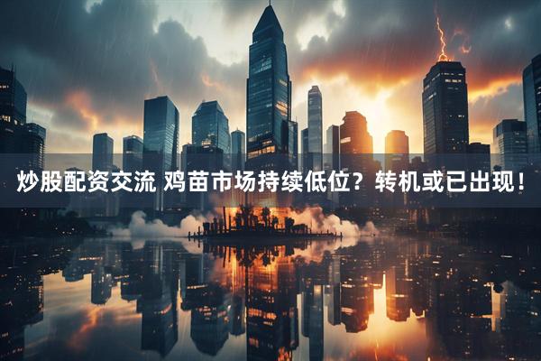 炒股配资交流 鸡苗市场持续低位？转机或已出现！